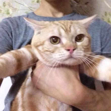 嘘嘘嘘！啦啦啦。