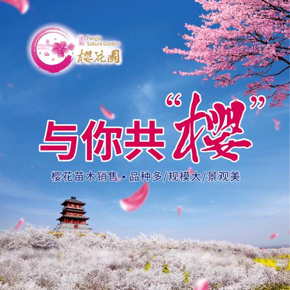 丰乐樱花园苗木基地