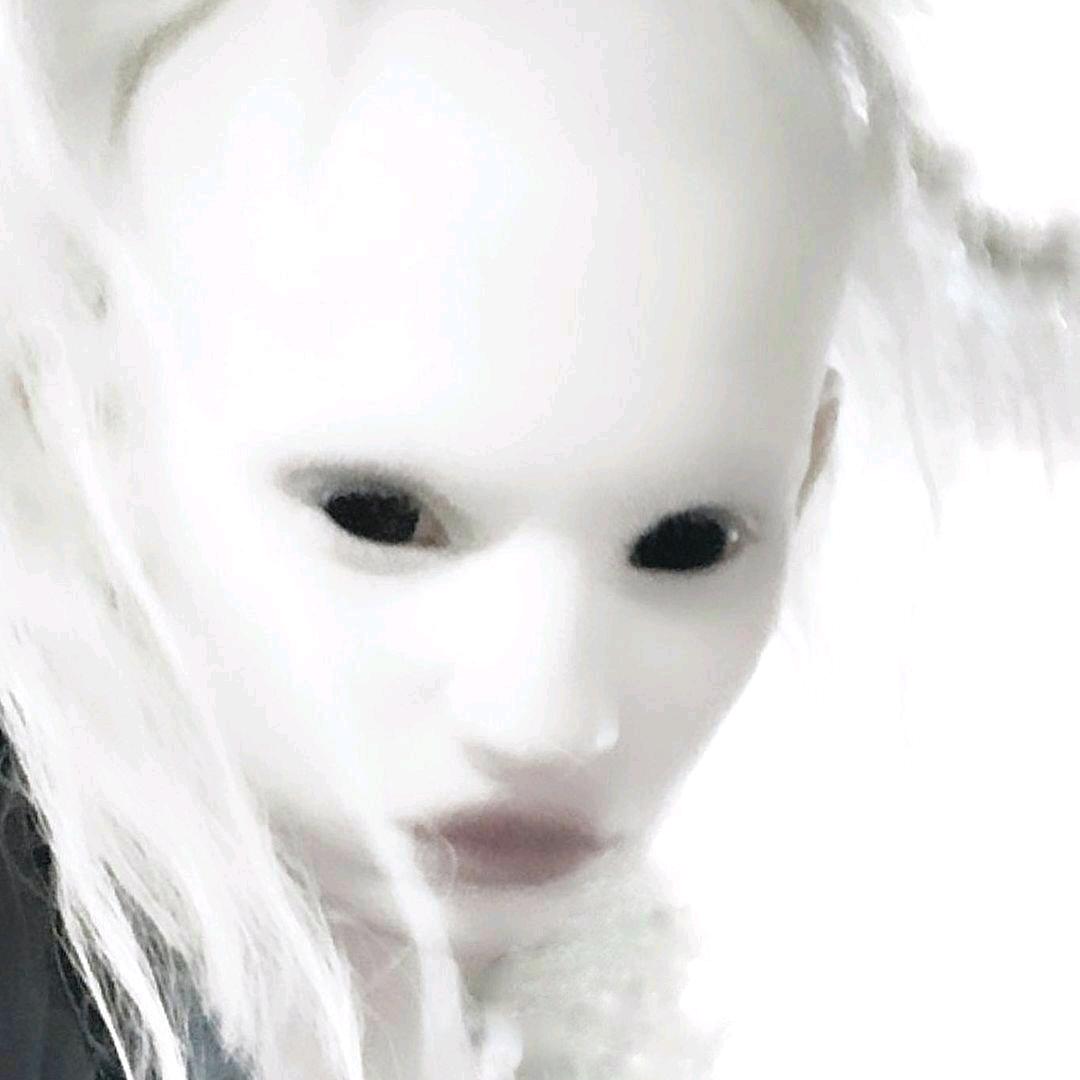 紅 色 毛 蟲蟲