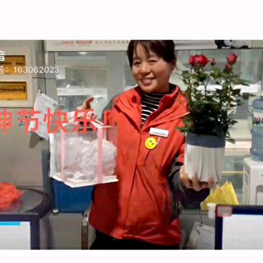 梅梅