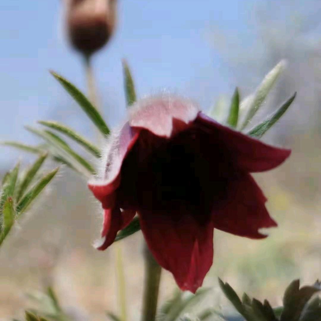 用户6939469394298释然