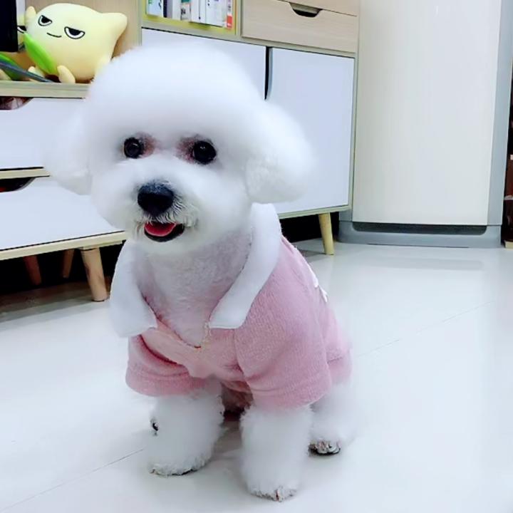 永恒的爱🦊⁹⁰⁴/⁵¹²