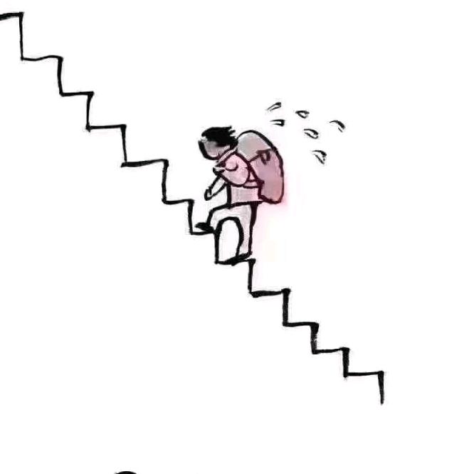 牧牛生态养殖场