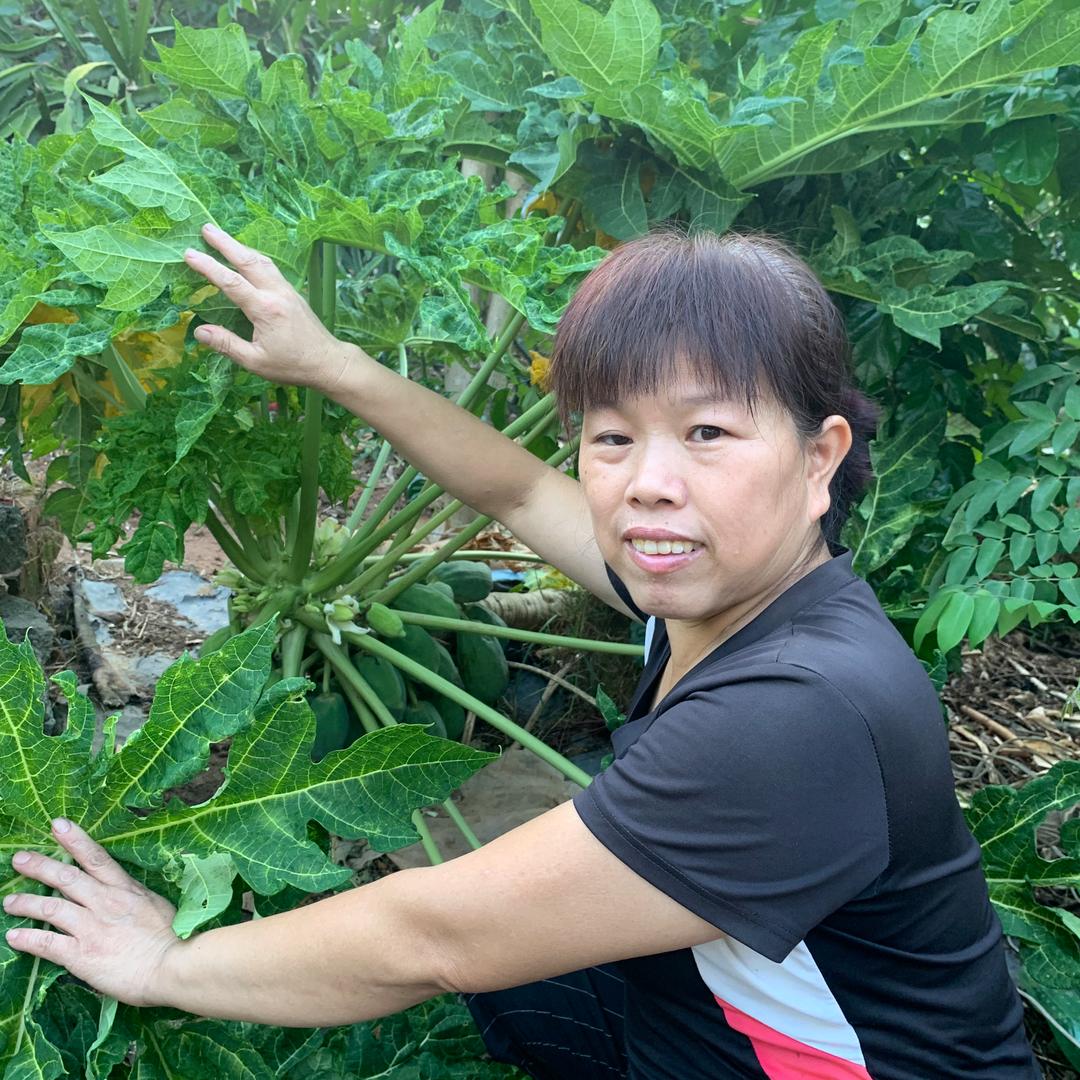 阿芬农人(阿妗)