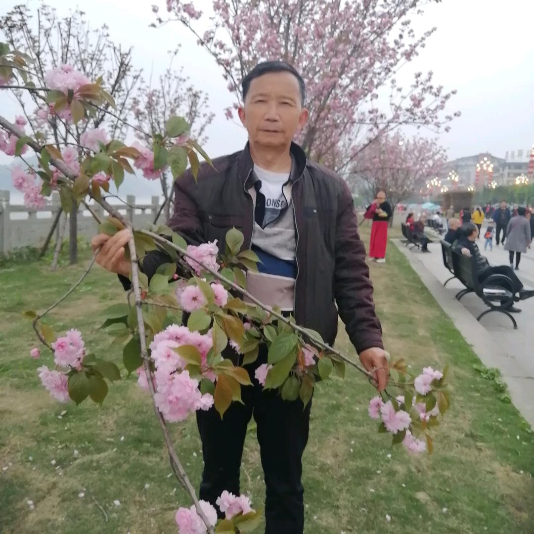 漂泊
