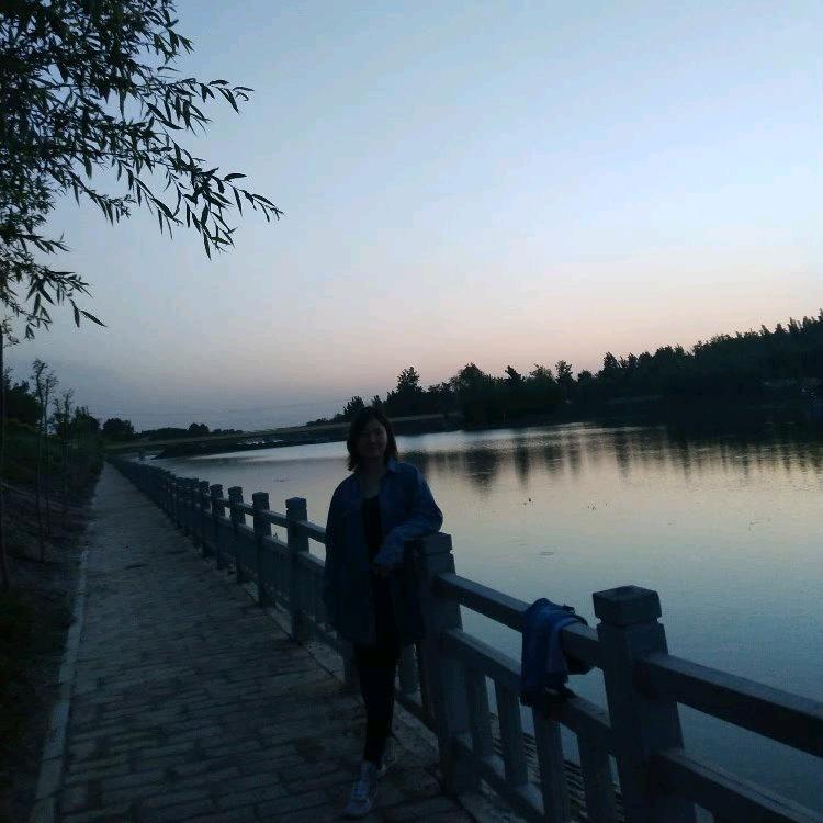 忘忧草