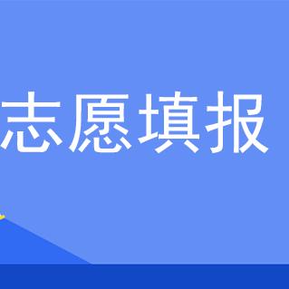 未来规划局
