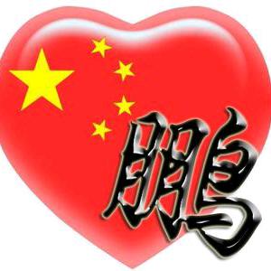 鹏义世非～～～恨