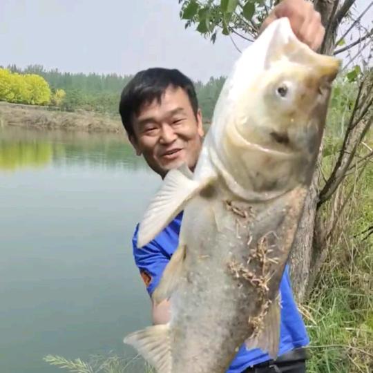 速清河饵料