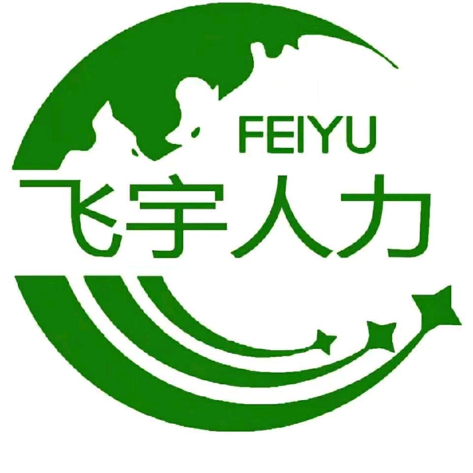 @飞宇人力王建军