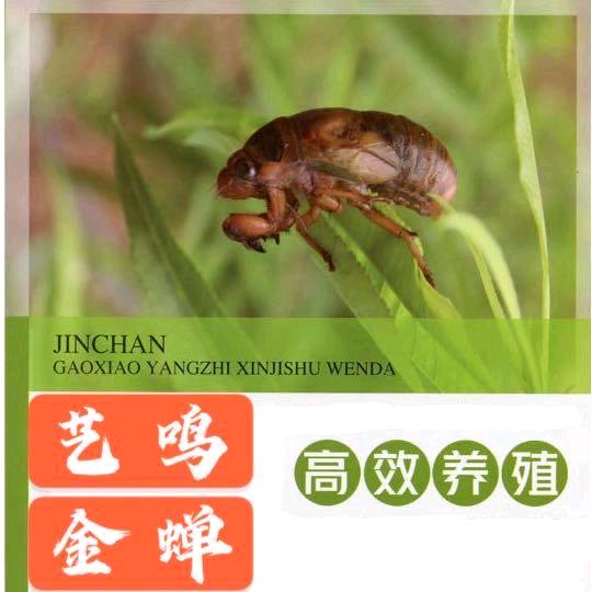 洛阳市艺呜金蝉养殖基地