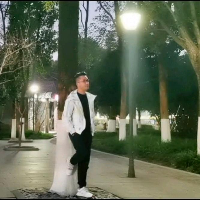 @向先生/努力前行