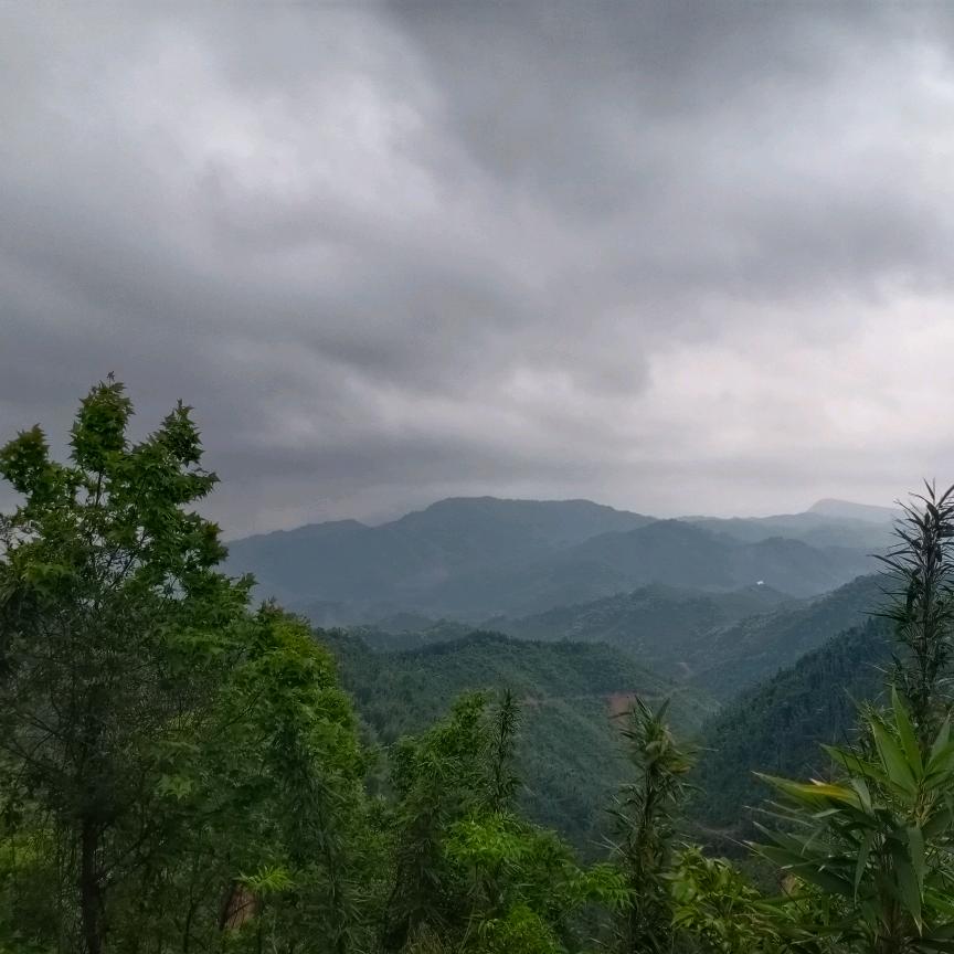 光辉.肇庆四会集装箱/出售回收定制