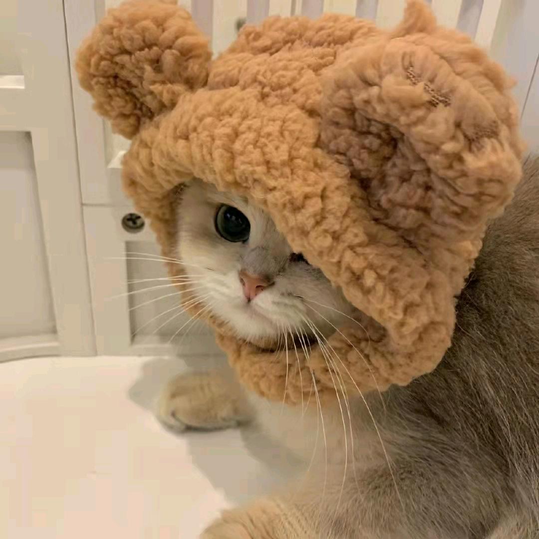 一生有你