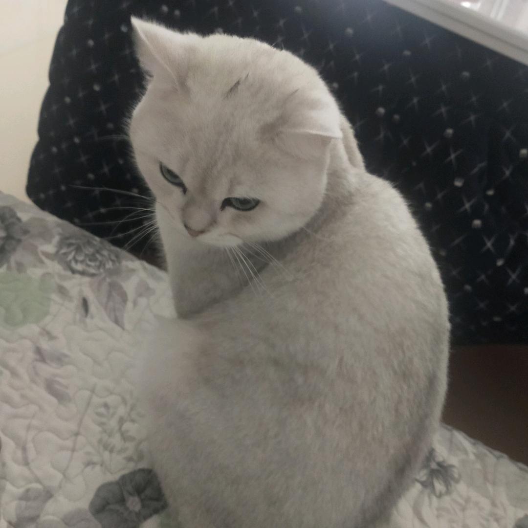 一生有你