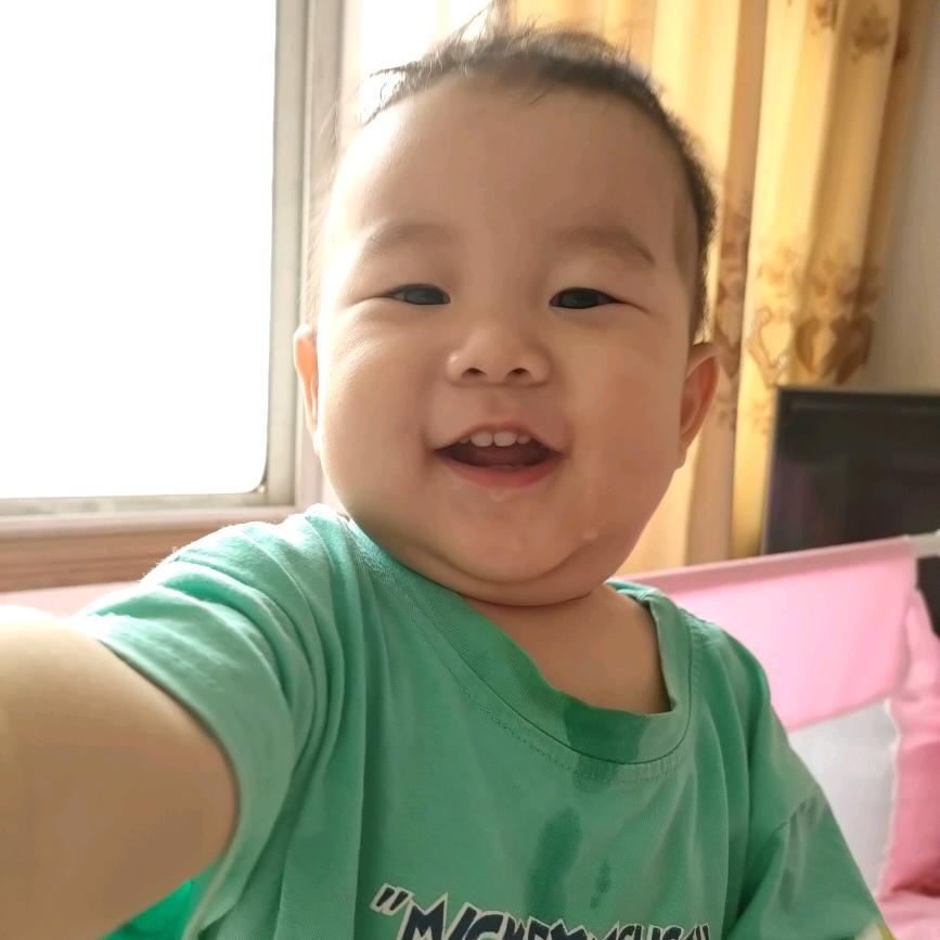陆