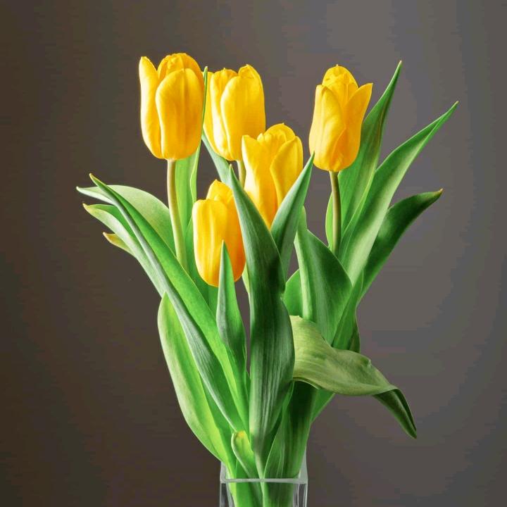 Liu_