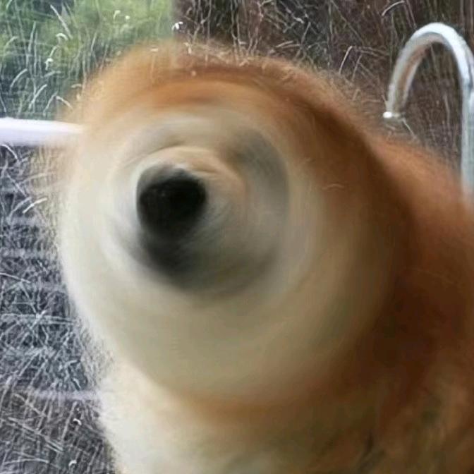 扗洊乛丆