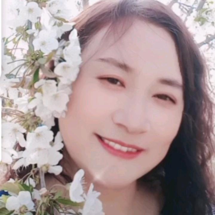 宏伟苗木2069735472