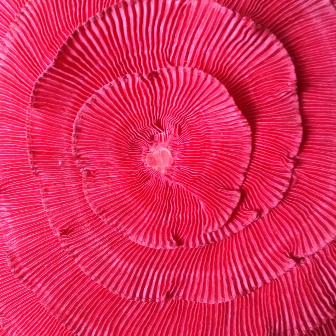 人过留名燕过留声