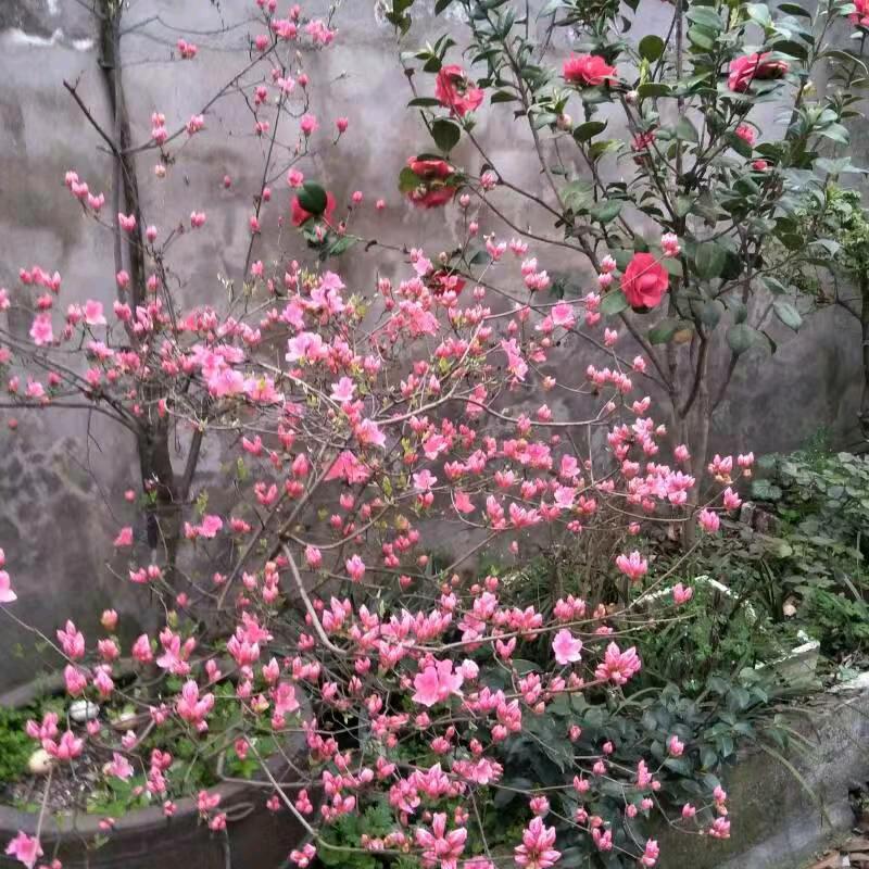 干货哥