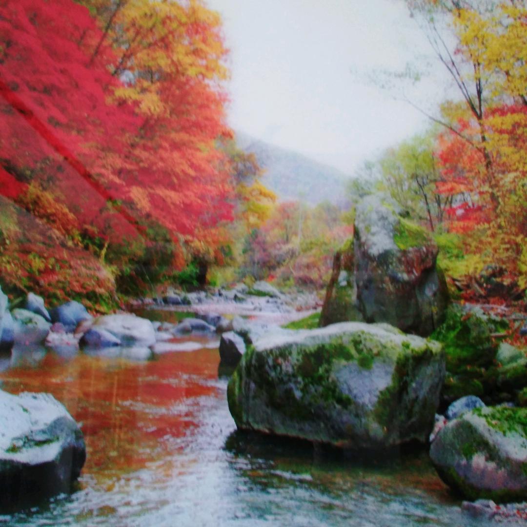 秀红