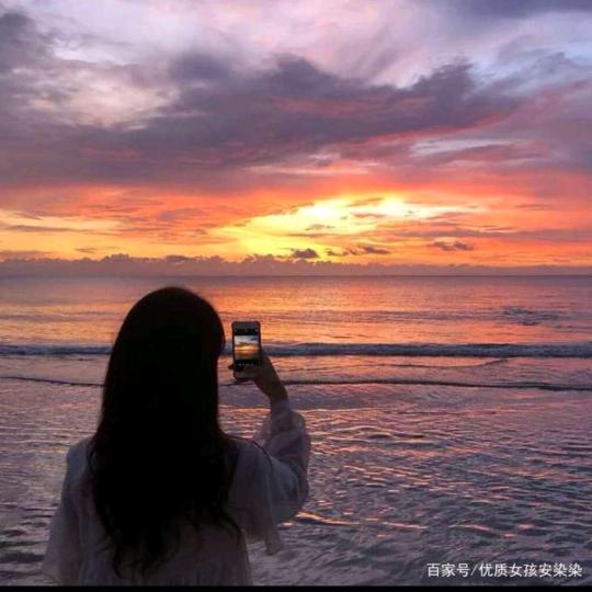 软软菜花籽