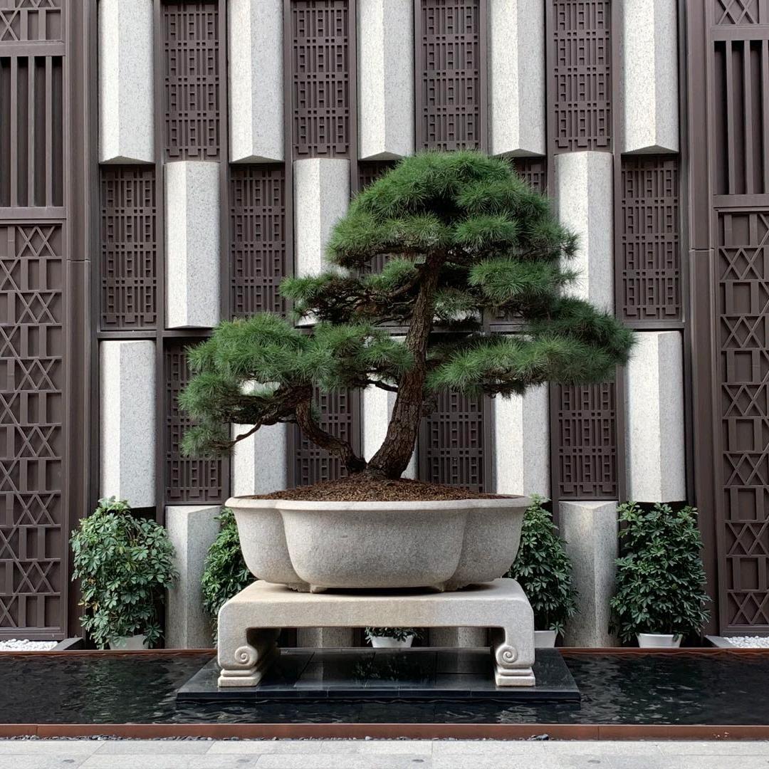 永坤