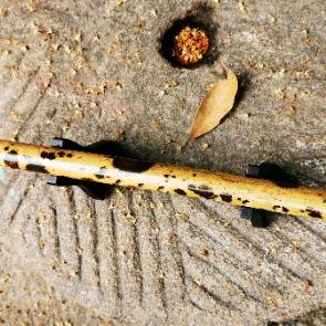 开源箫笛工作室