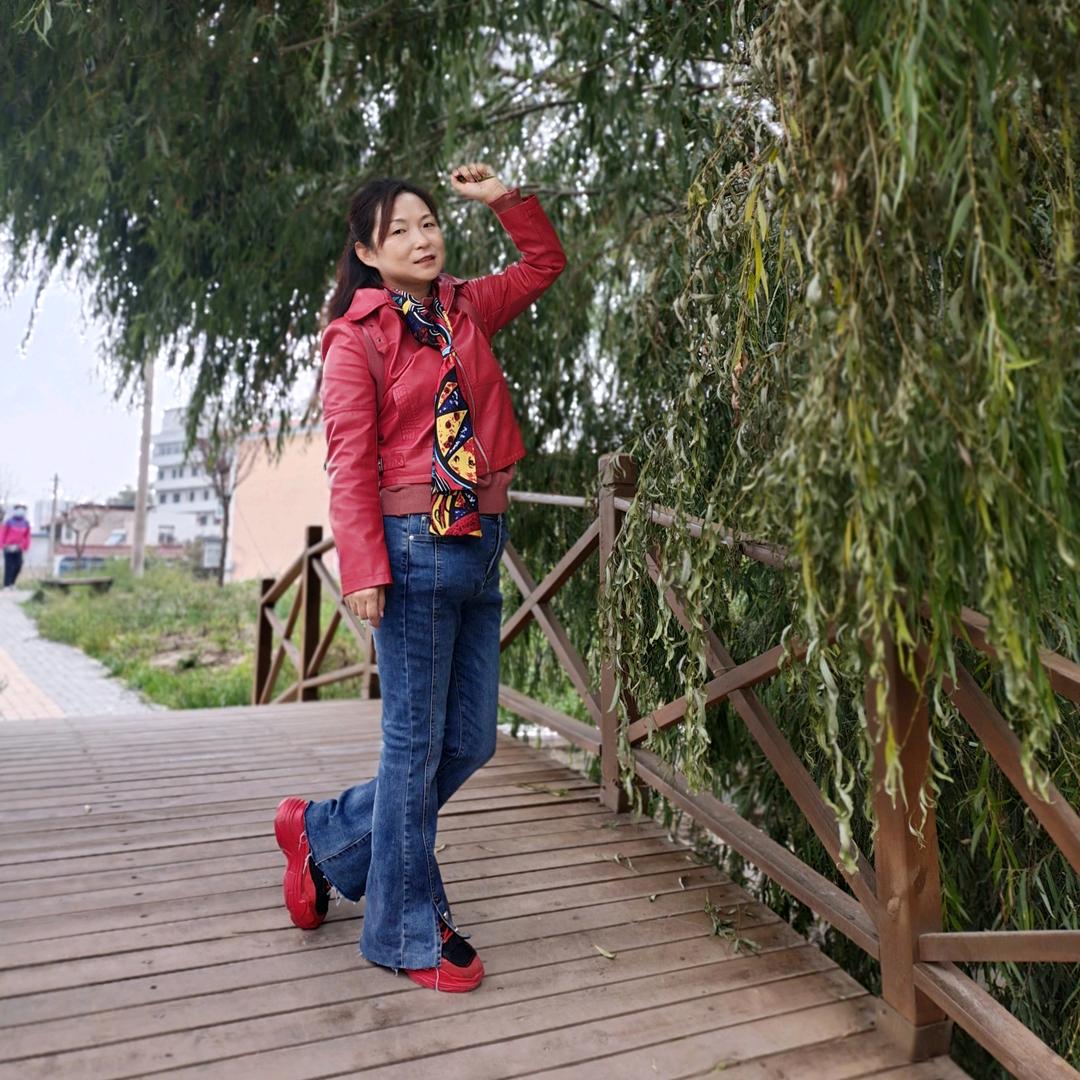 绿萝