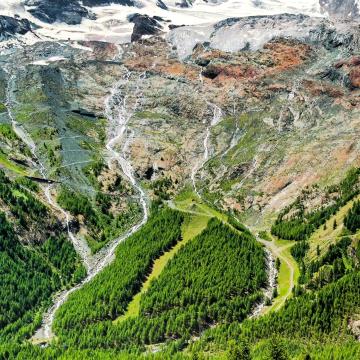 灰太狼(●—●)