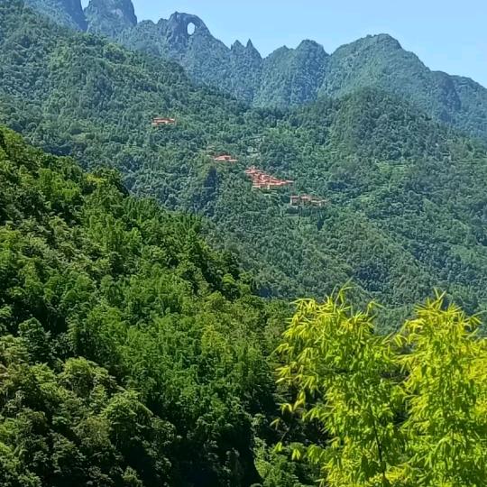 亲哥