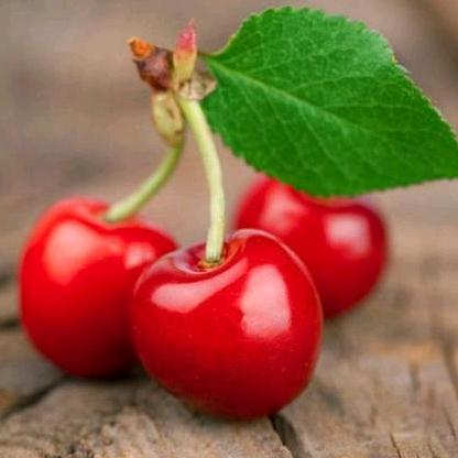 春、夏、秋、冬、、、、、、