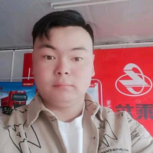 乘龙卡车（王公子）