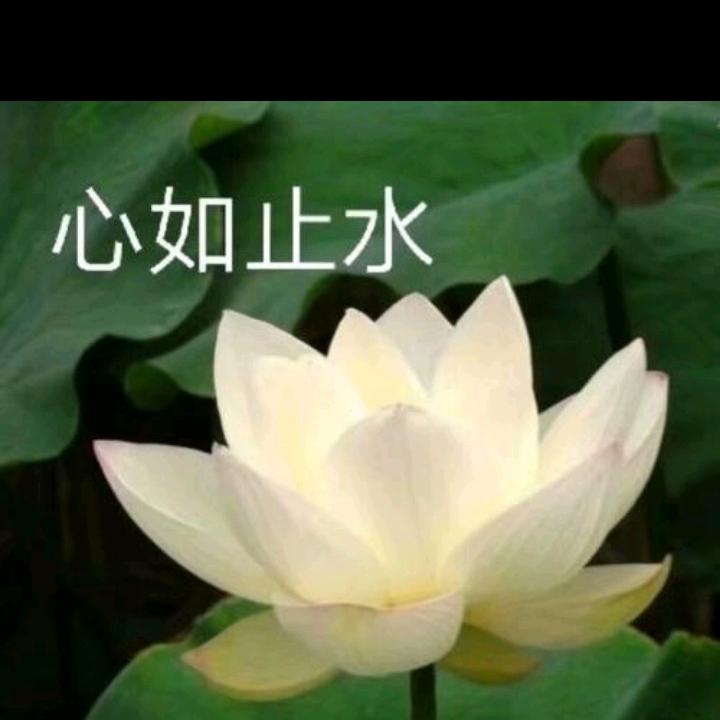 妙华