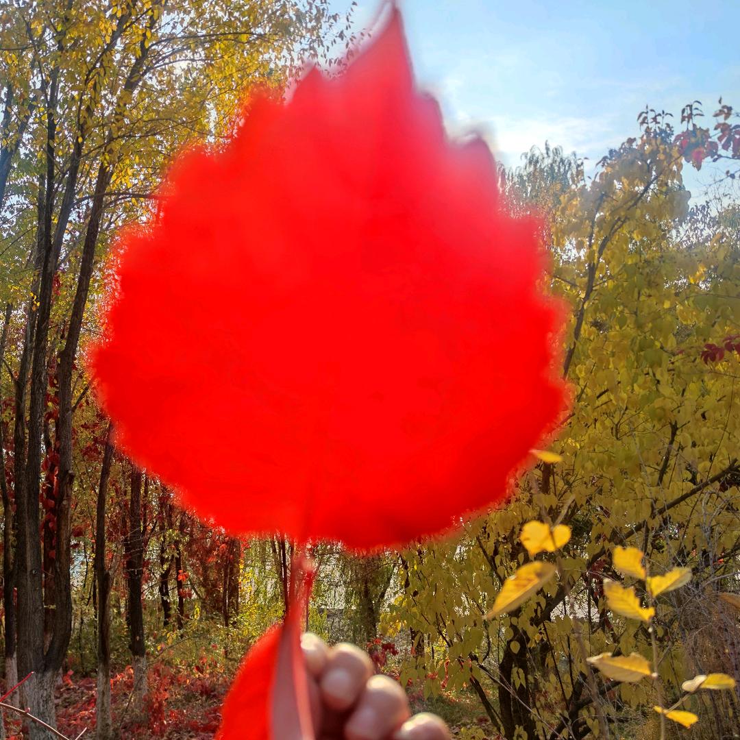 砖瓦智能装备谢