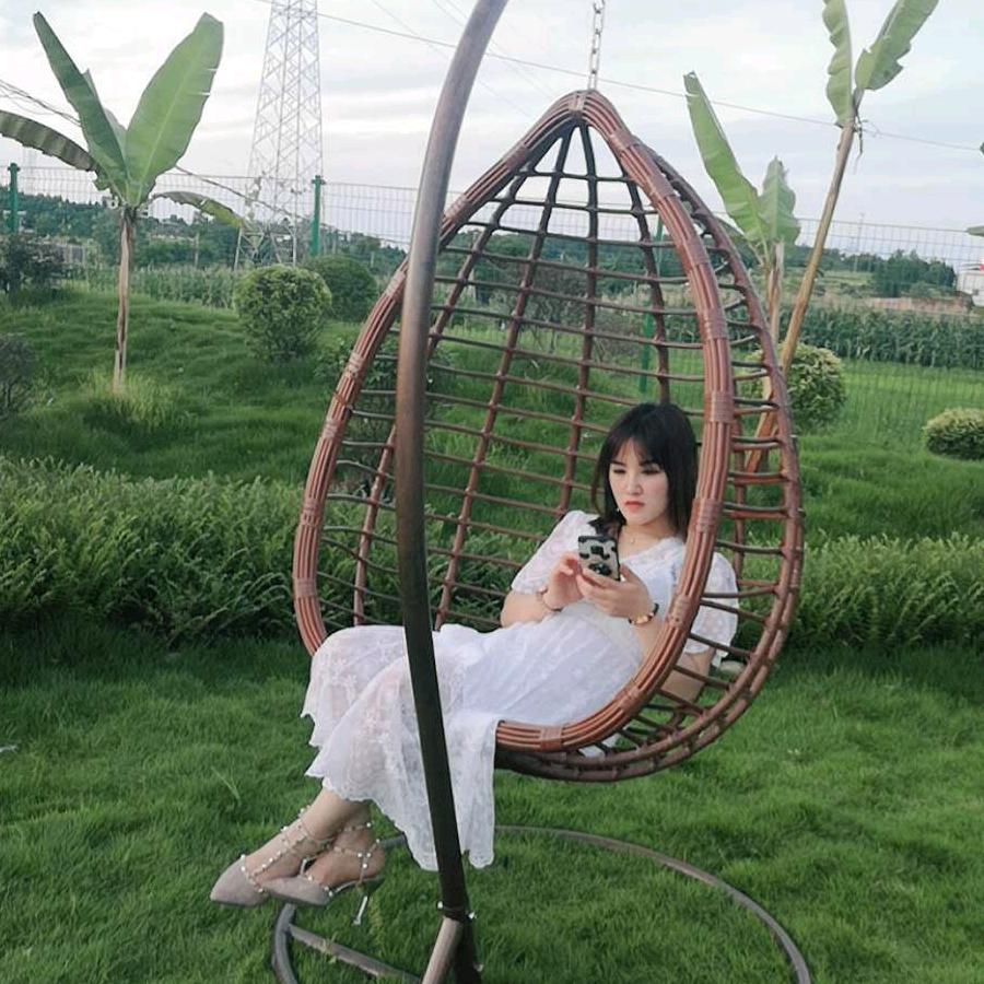 蝴蝶兰🦋