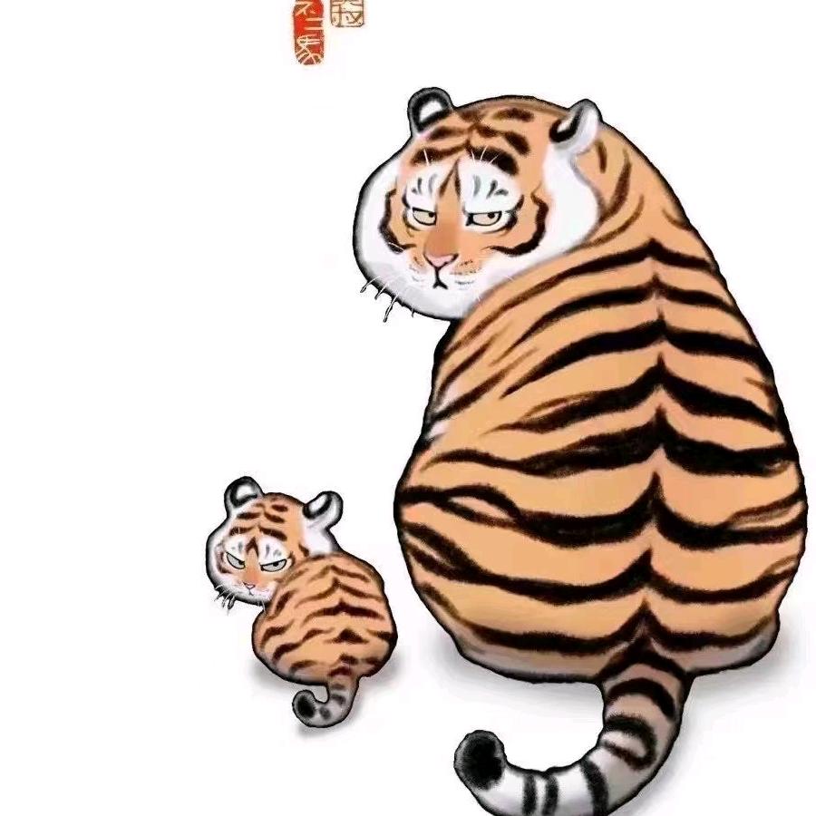 小白杨⚡