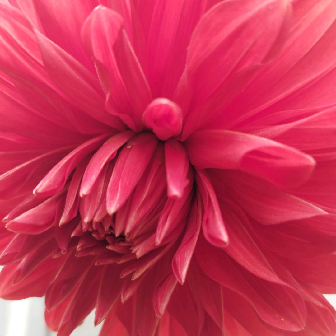 缘分让我认识你