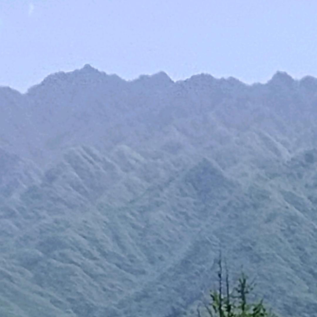 相伴至老