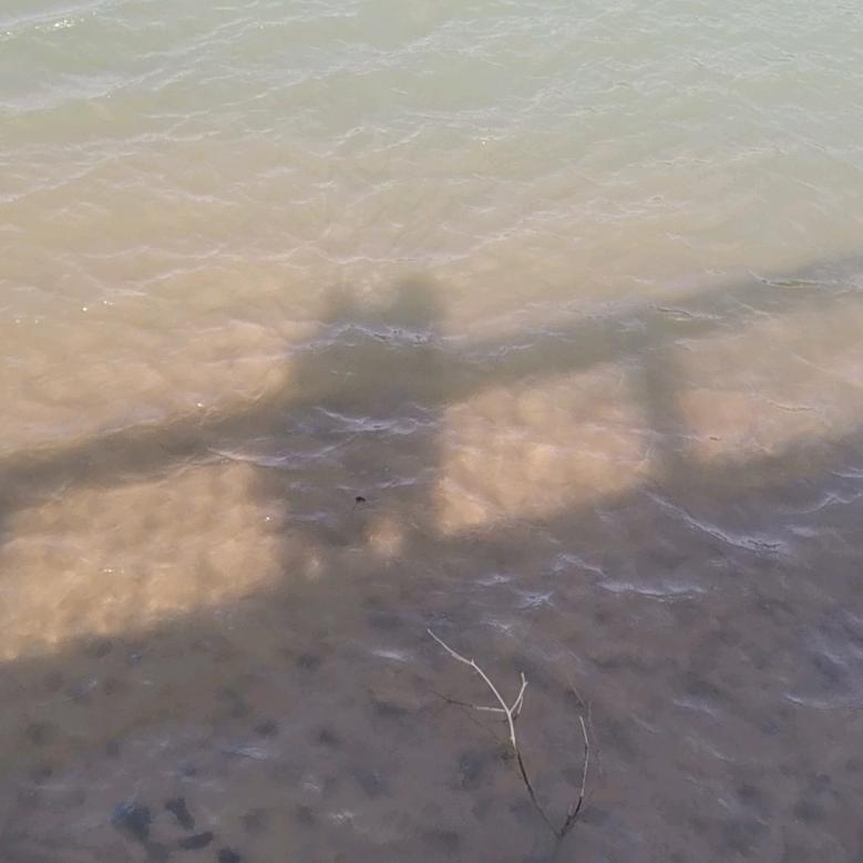 瓶子被别人捡了