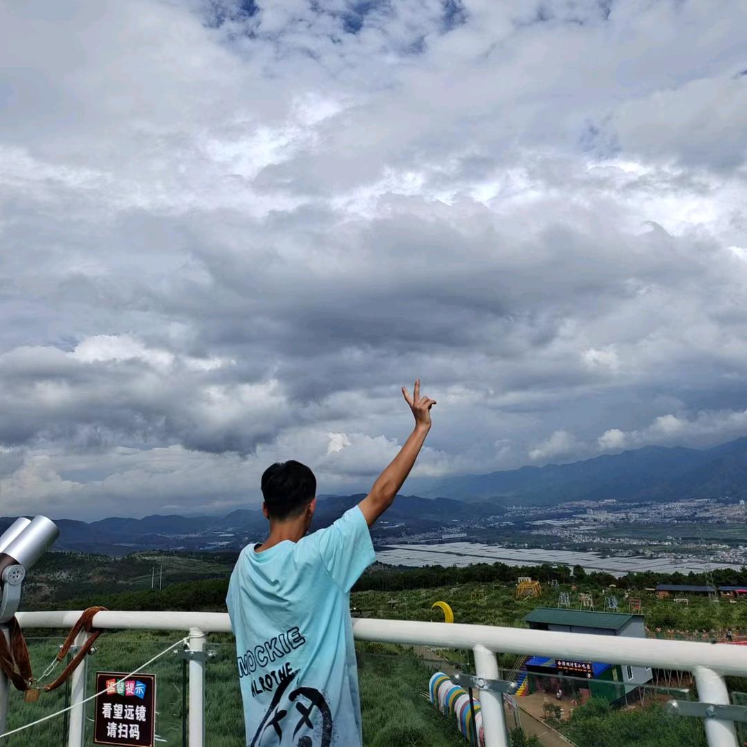 夏日懒杨杨