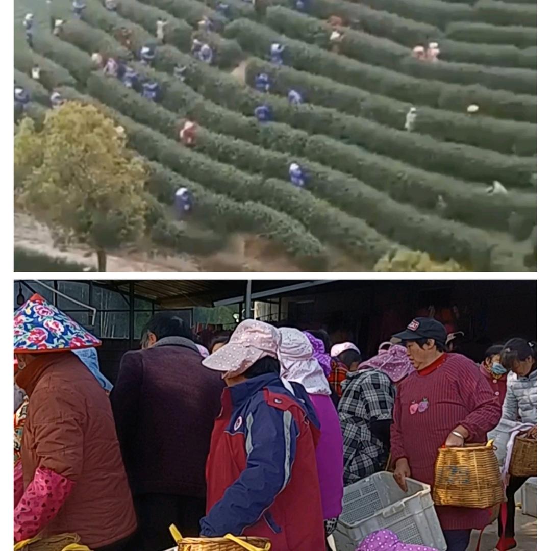 人往高处走，水往低处流