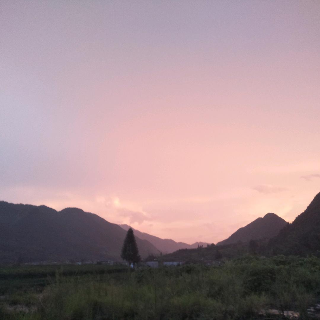 阅读