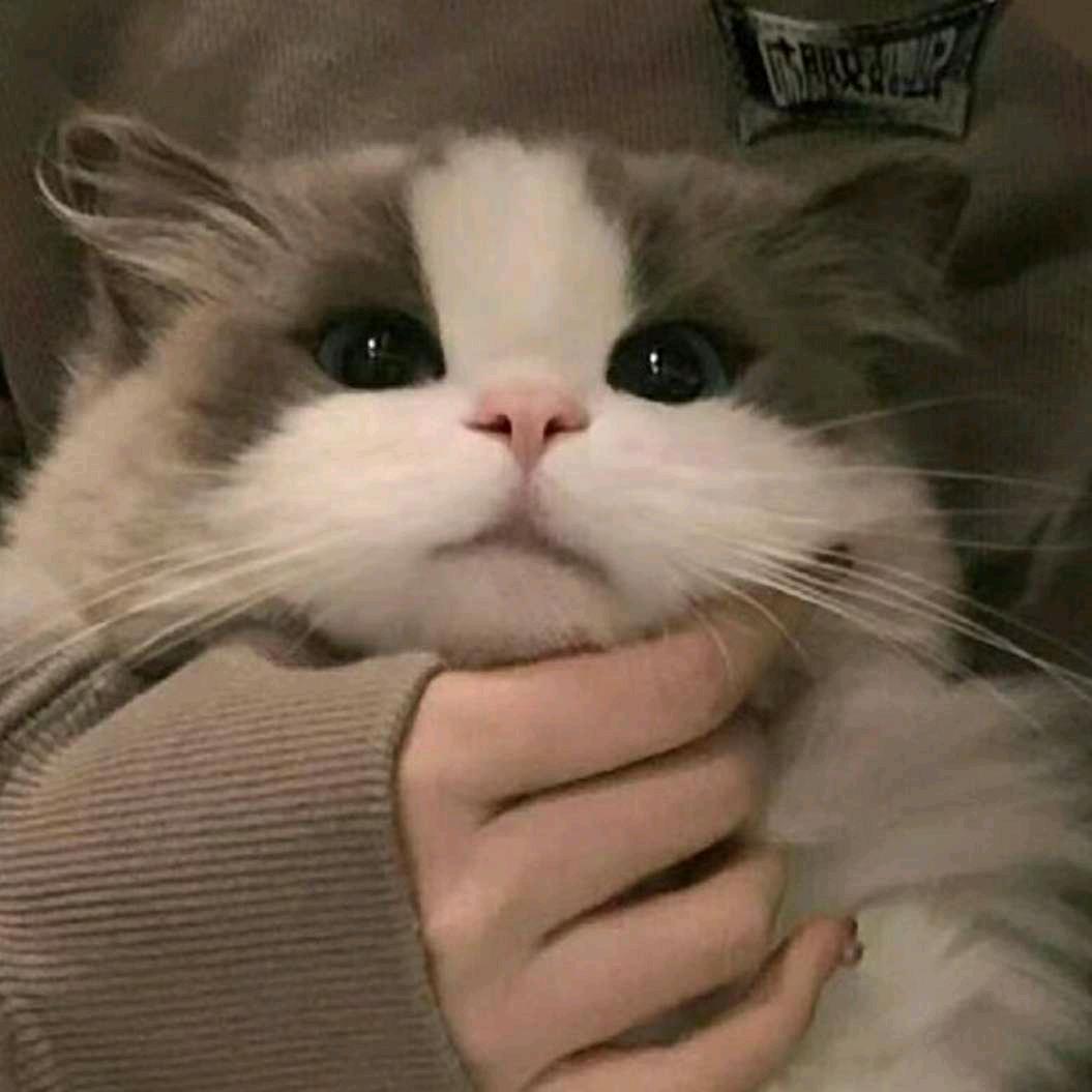 归元
