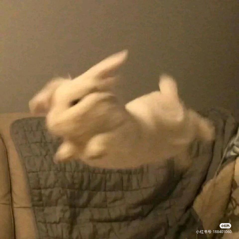 投怀