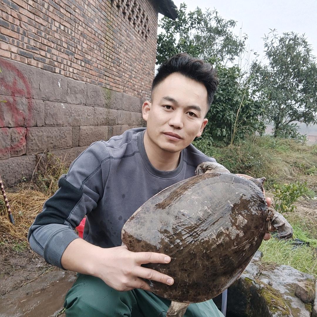 户外大斌哥