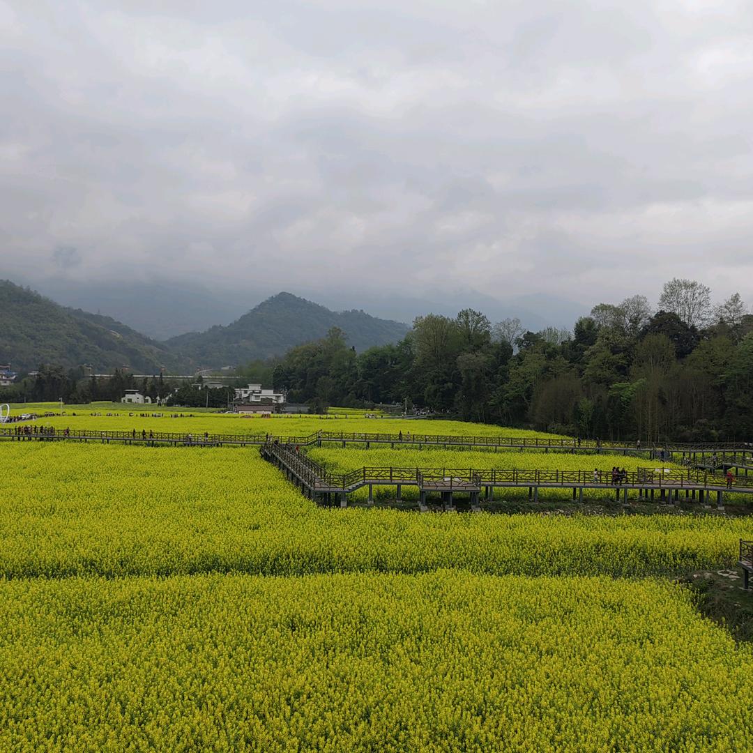 周公山人