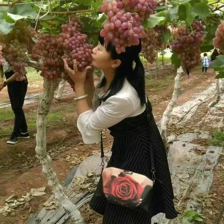 虹霓