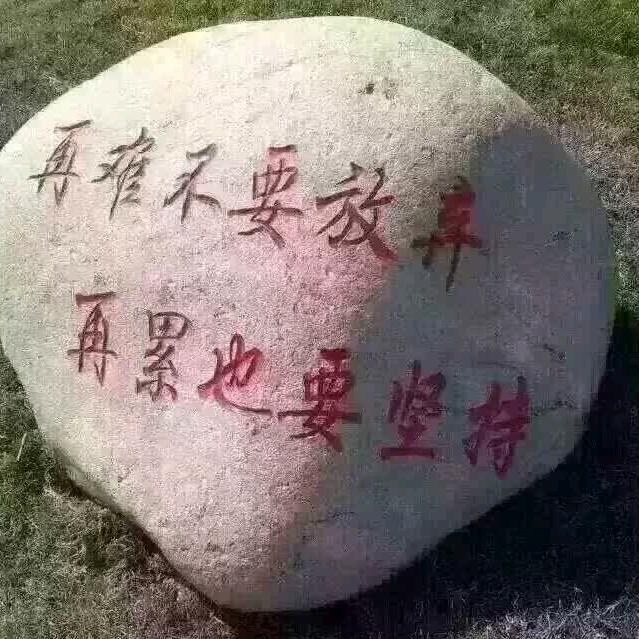 流浪小哥